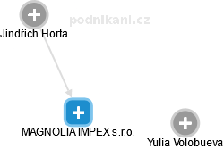 MAGNOLIA IMPEX s.r.o. - náhled vizuálního zobrazení vztahů obchodního rejstříku