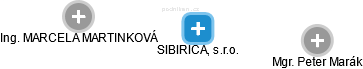 SIBIRICA, s.r.o. - náhled vizuálního zobrazení vztahů obchodního rejstříku