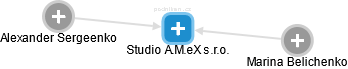 Studio A.M.eX s.r.o. - náhled vizuálního zobrazení vztahů obchodního rejstříku