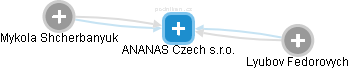 ANANAS Czech s.r.o. - náhled vizuálního zobrazení vztahů obchodního rejstříku