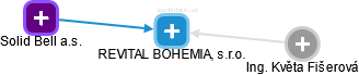 REVITAL BOHEMIA, s.r.o. - náhled vizuálního zobrazení vztahů obchodního rejstříku