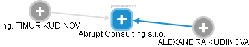 Abrupt Consulting s.r.o. - náhled vizuálního zobrazení vztahů obchodního rejstříku
