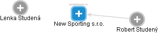 New Sporting s.r.o. - náhled vizuálního zobrazení vztahů obchodního rejstříku