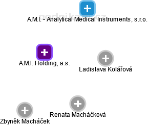 A.M.I. Holding, a.s. - náhled vizuálního zobrazení vztahů obchodního rejstříku
