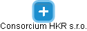 Consorcium HKR s.r.o. - náhled vizuálního zobrazení vztahů obchodního rejstříku