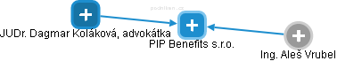 PIP Benefits s.r.o. - náhled vizuálního zobrazení vztahů obchodního rejstříku