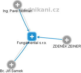 Fungamental s.r.o. - náhled vizuálního zobrazení vztahů obchodního rejstříku