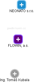 FLOWIN, a.s. - náhled vizuálního zobrazení vztahů obchodního rejstříku