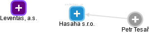 Hasaha s.r.o. - náhled vizuálního zobrazení vztahů obchodního rejstříku