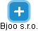 Bjoo s.r.o. - náhled vizuálního zobrazení vztahů obchodního rejstříku