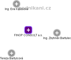 FINOP CONSULT a.s. - náhled vizuálního zobrazení vztahů obchodního rejstříku