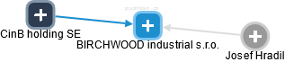 BIRCHWOOD industrial s.r.o. - náhled vizuálního zobrazení vztahů obchodního rejstříku