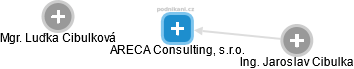 ARECA Consulting, s.r.o. - náhled vizuálního zobrazení vztahů obchodního rejstříku