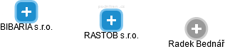 RASTOB s.r.o. - náhled vizuálního zobrazení vztahů obchodního rejstříku