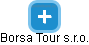 Borsa Tour s.r.o. - náhled vizuálního zobrazení vztahů obchodního rejstříku