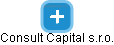 Consult Capital s.r.o. - náhled vizuálního zobrazení vztahů obchodního rejstříku