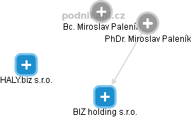 BIZ holding s.r.o. - náhled vizuálního zobrazení vztahů obchodního rejstříku