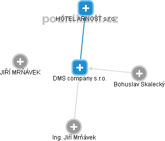 DMS company s.r.o. - náhled vizuálního zobrazení vztahů obchodního rejstříku