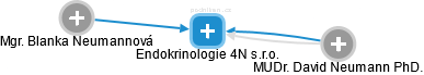 Endokrinologie 4N s.r.o. - náhled vizuálního zobrazení vztahů obchodního rejstříku