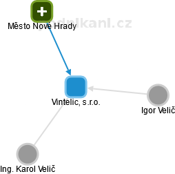 Vintelic, s.r.o. - náhled vizuálního zobrazení vztahů obchodního rejstříku