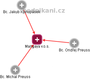 Mangaya v.o.s. - náhled vizuálního zobrazení vztahů obchodního rejstříku