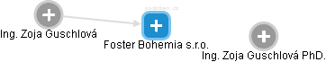 Foster Bohemia s.r.o. - náhled vizuálního zobrazení vztahů obchodního rejstříku