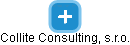 Collite Consulting, s.r.o. - náhled vizuálního zobrazení vztahů obchodního rejstříku