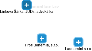 Profi Bohemia, s.r.o. - náhled vizuálního zobrazení vztahů obchodního rejstříku