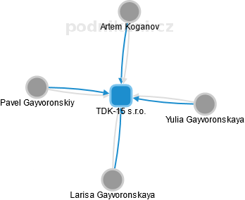 TDK-15 s.r.o. - náhled vizuálního zobrazení vztahů obchodního rejstříku
