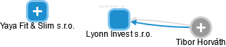 Lyonn Invest s.r.o. - náhled vizuálního zobrazení vztahů obchodního rejstříku