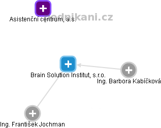 Brain Solution Institut, s.r.o. - náhled vizuálního zobrazení vztahů obchodního rejstříku