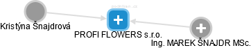 PROFI FLOWERS s.r.o. - náhled vizuálního zobrazení vztahů obchodního rejstříku