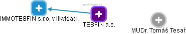 TESFIN a.s. - náhled vizuálního zobrazení vztahů obchodního rejstříku