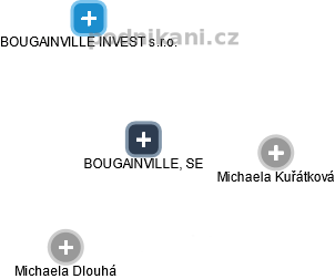 BOUGAINVILLE, SE - náhled vizuálního zobrazení vztahů obchodního rejstříku