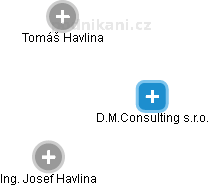D.M.Consulting s.r.o. - náhled vizuálního zobrazení vztahů obchodního rejstříku