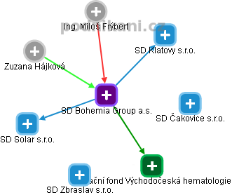 SD Bohemia Group a.s. - náhled vizuálního zobrazení vztahů obchodního rejstříku