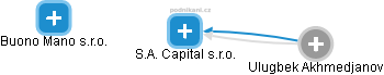 S.A. Capital s.r.o. - náhled vizuálního zobrazení vztahů obchodního rejstříku