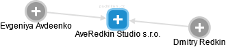 AveRedkin Studio s.r.o. - náhled vizuálního zobrazení vztahů obchodního rejstříku