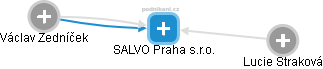 SALVO Praha s.r.o. - náhled vizuálního zobrazení vztahů obchodního rejstříku