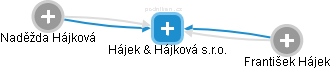 Hájek & Hájková s.r.o. - náhled vizuálního zobrazení vztahů obchodního rejstříku