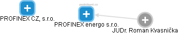PROFINEX energo s.r.o. - náhled vizuálního zobrazení vztahů obchodního rejstříku