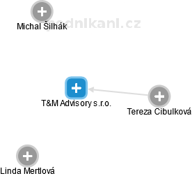 T&M Advisory s.r.o. - náhled vizuálního zobrazení vztahů obchodního rejstříku