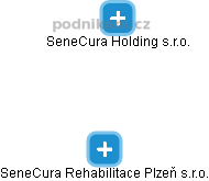 SeneCura Rehabilitace Plzeň s.r.o. - náhled vizuálního zobrazení vztahů obchodního rejstříku