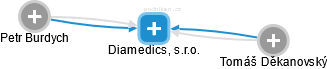 Diamedics, s.r.o. - náhled vizuálního zobrazení vztahů obchodního rejstříku