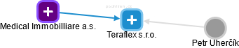 Teraflex s.r.o. - náhled vizuálního zobrazení vztahů obchodního rejstříku