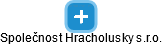 Společnost Hracholusky s.r.o. - náhled vizuálního zobrazení vztahů obchodního rejstříku