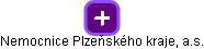 Nemocnice Plzeňského kraje, a.s. - náhled vizuálního zobrazení vztahů obchodního rejstříku
