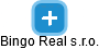 Bingo Real s.r.o. - náhled vizuálního zobrazení vztahů obchodního rejstříku