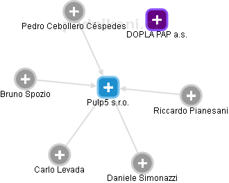Pulp5 s.r.o. - náhled vizuálního zobrazení vztahů obchodního rejstříku