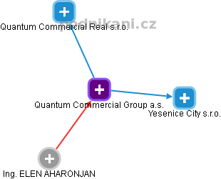 Quantum Commercial Group a.s. - náhled vizuálního zobrazení vztahů obchodního rejstříku